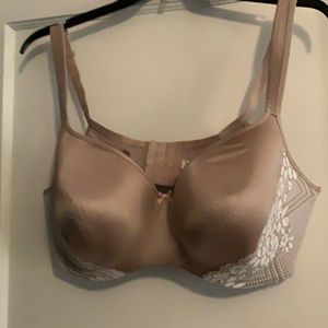 Beautiful lace accented b plus size bra